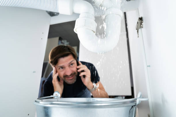Best Local Plumber Services  in Shrewsbury, MO